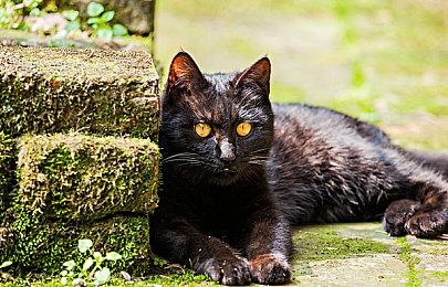 英国实体周榜：蜘蛛侠击败马里奥成功登顶